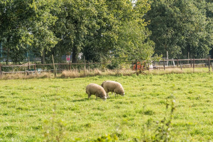 Foto 52 van Ruurd Visserstraat 58