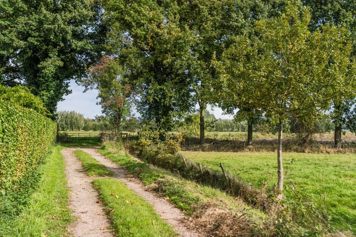 Foto 54 van Ruurd Visserstraat 58