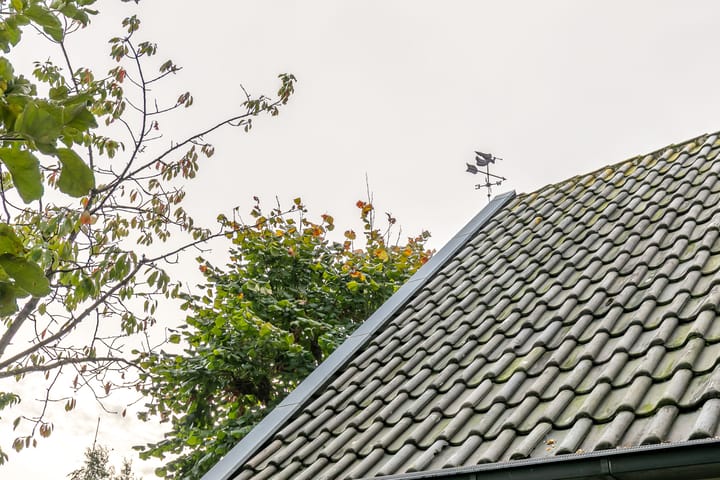 Foto 54 van Nieuwstraat 16