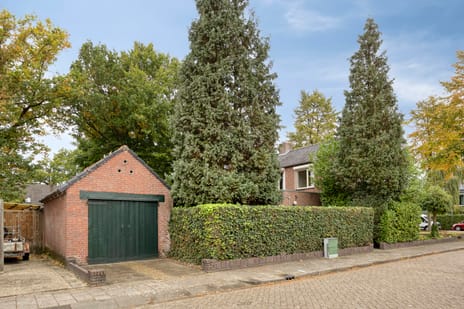 Steenbergen 4 tertiary image