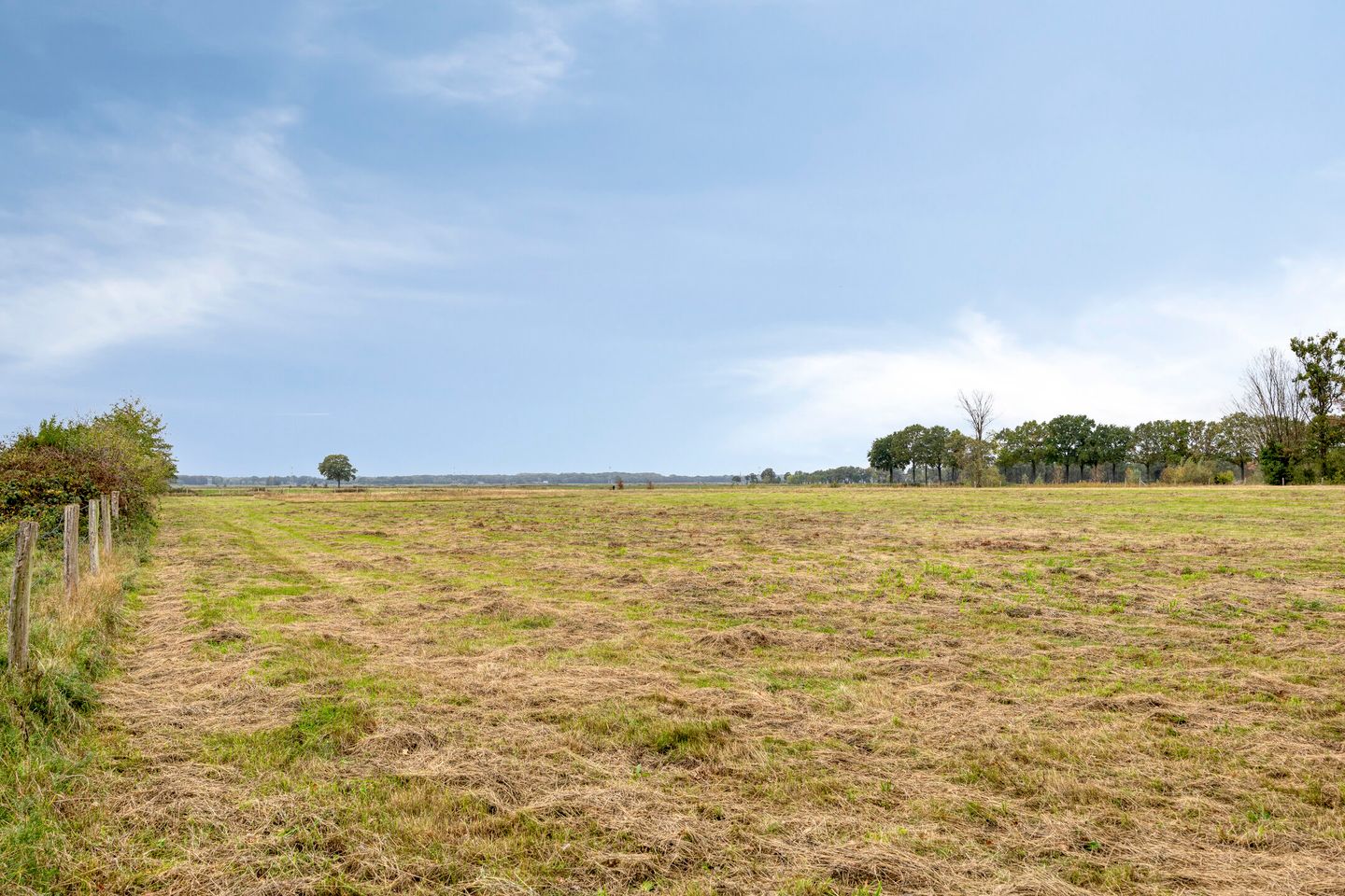 Foto 4 van Steenbergen 4