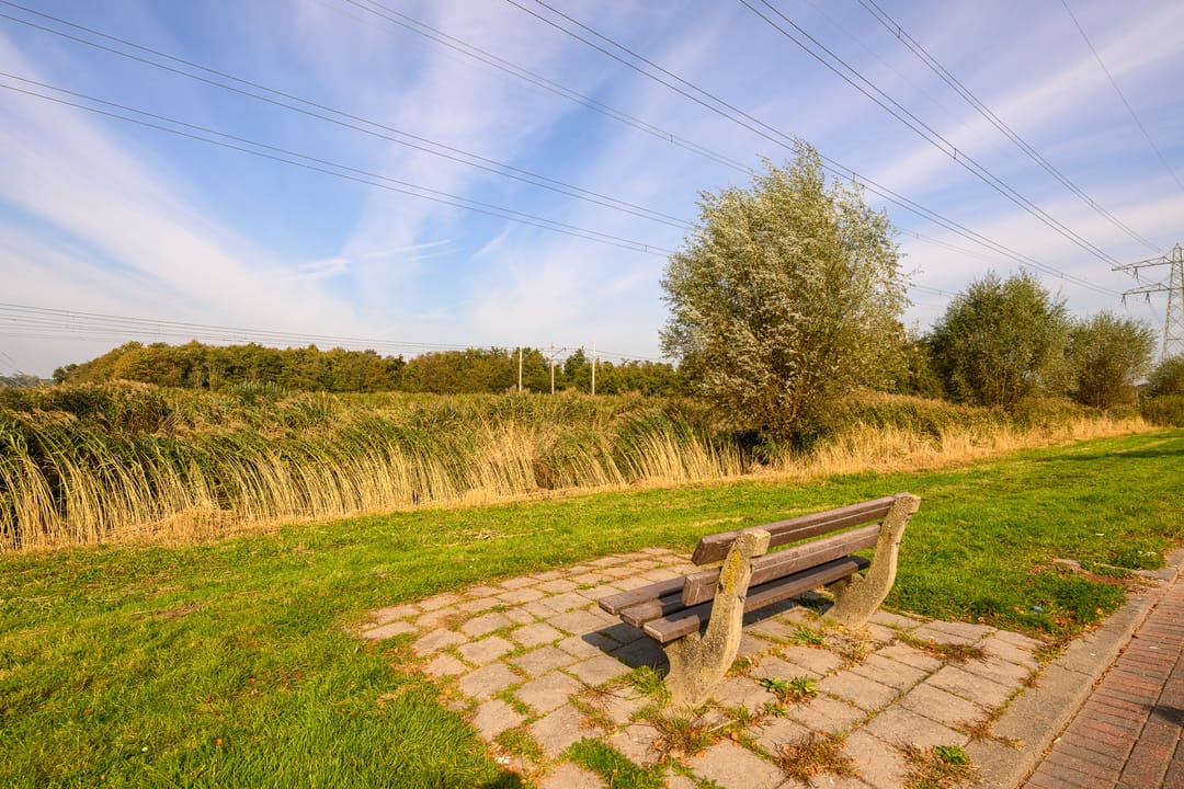 Foto 28 van Koekoeklaan 1