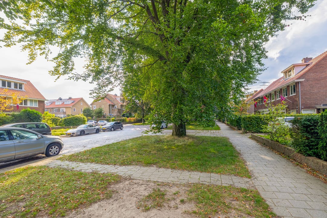 Foto 56 van Mesdaglaan 44