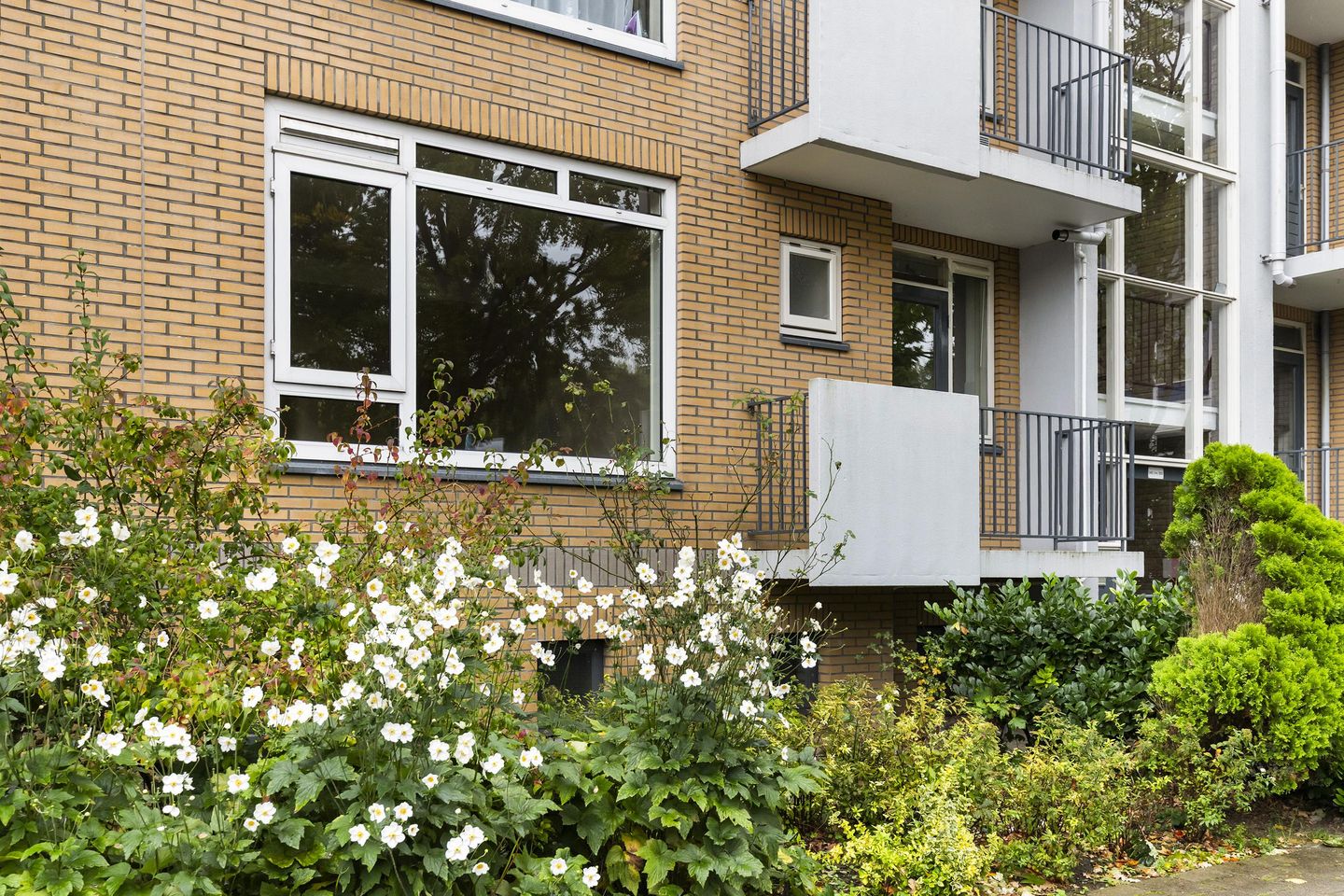 Photo 4 of Valeriusstraat 240