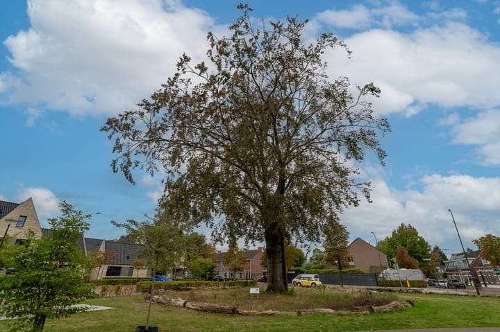 Foto 59 van Esschestraat 12