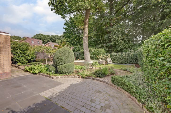 Photo 2 of Ommerbos 61