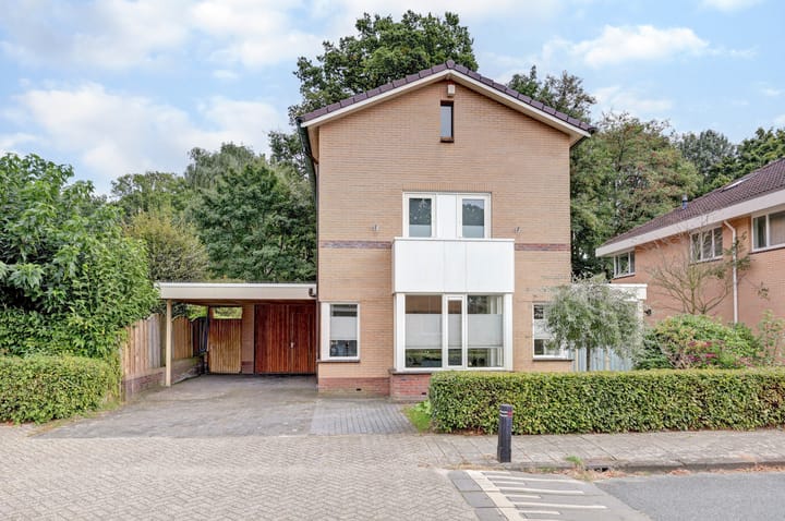 Photo 4 of Ommerbos 61