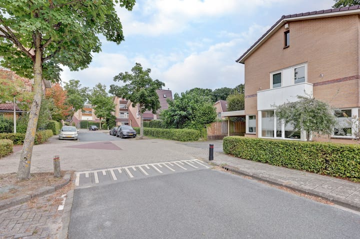 Photo 5 of Ommerbos 61