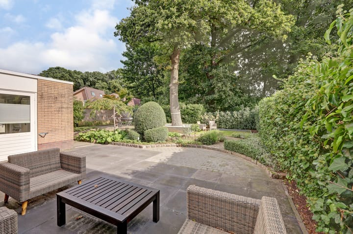 Photo 28 of Ommerbos 61