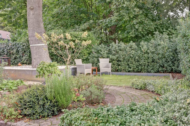 Photo 29 of Ommerbos 61