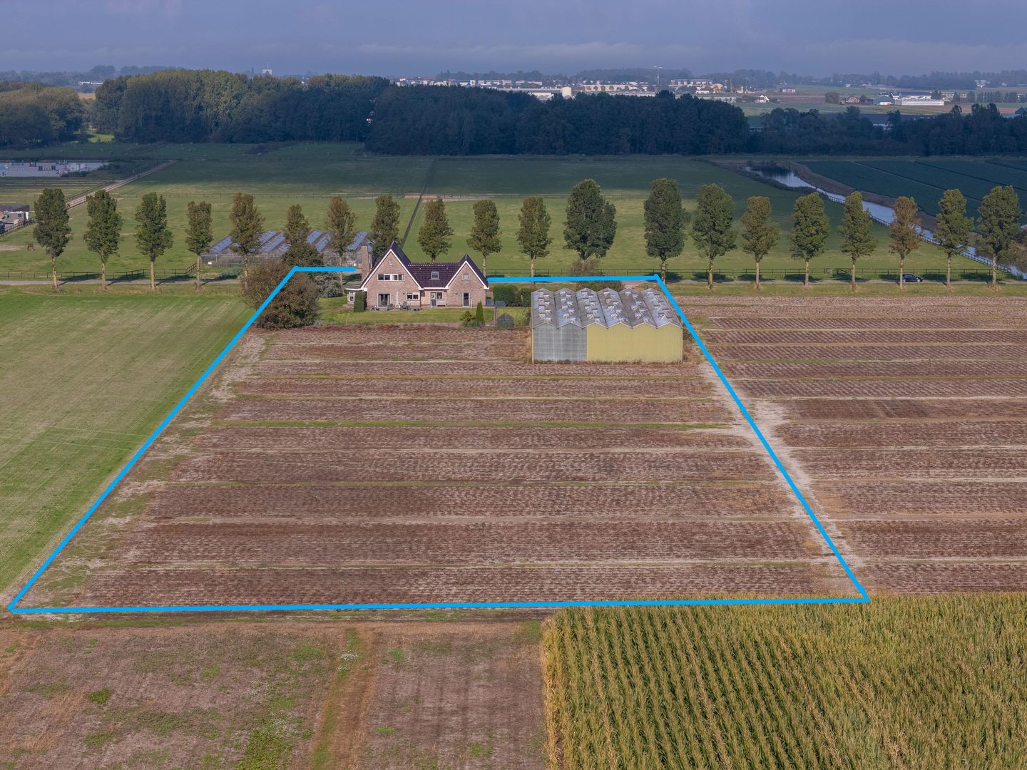 Bekijk foto 1 van Geerling 19