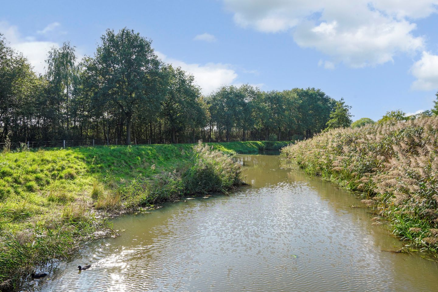 Foto 50 van 't Seuverick 35