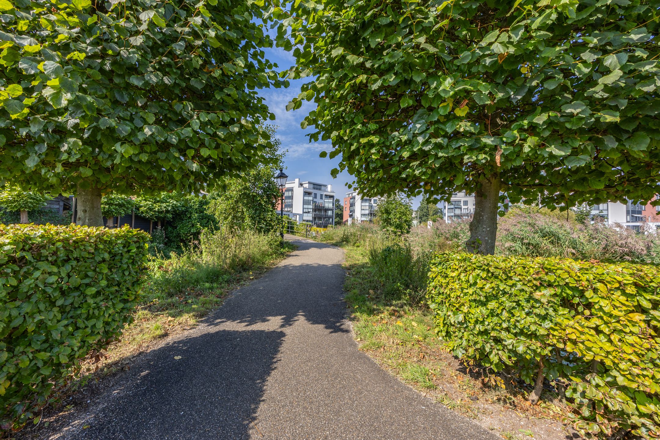 Foto 36 van Koningsspil 35