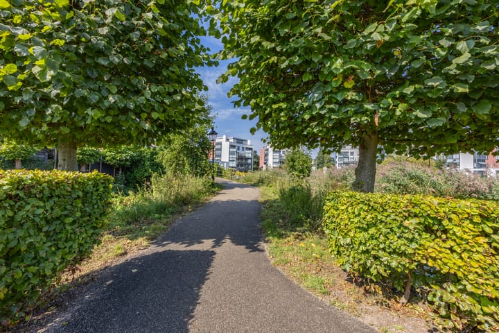 Foto 36 van Koningsspil 35