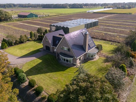 Geerling 19 tertiary image