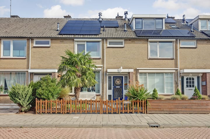 Singel 73 main image