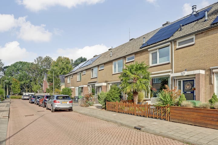 Foto 7 van Singel 73