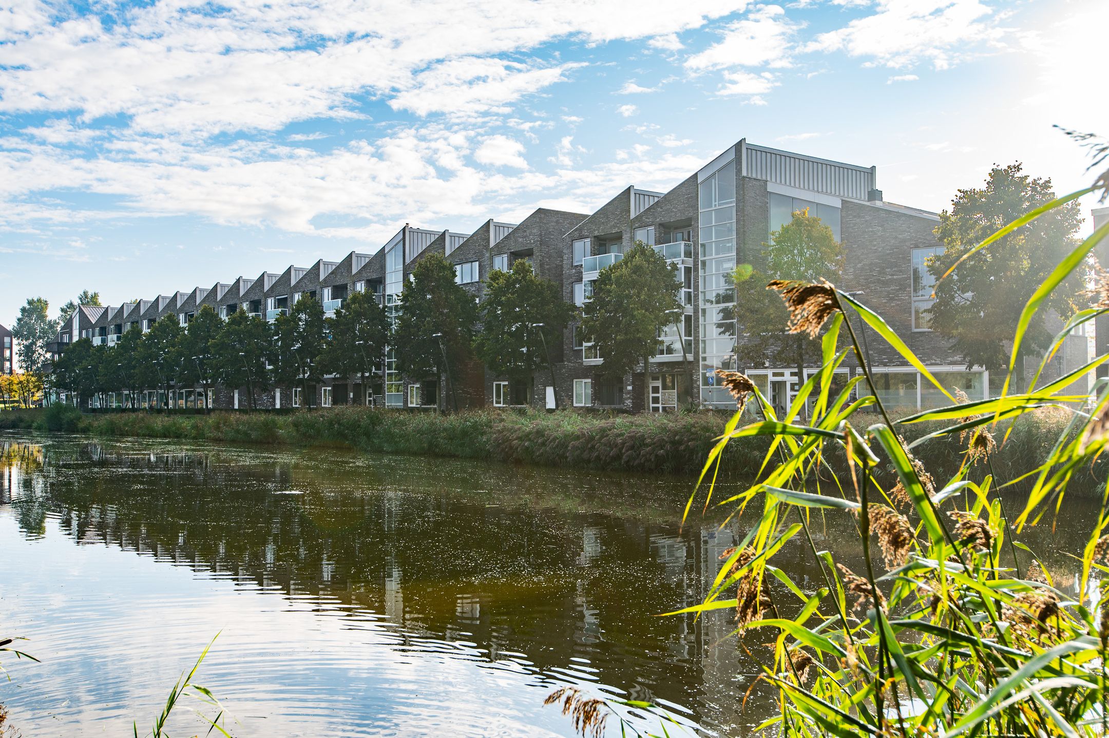 Foto 6 van Vivaldisingel 199