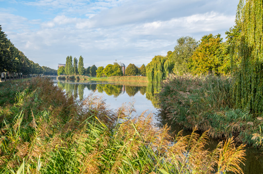 Foto 7 van Vivaldisingel 199