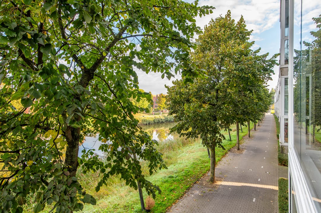 Foto 23 van Vivaldisingel 199