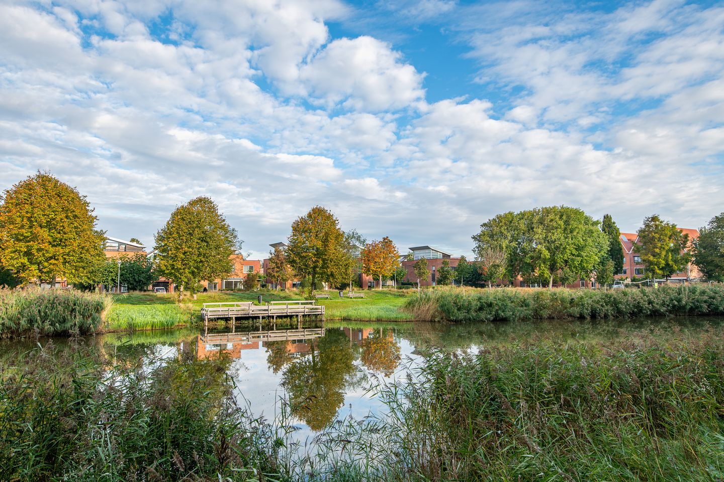 Foto 29 van Vivaldisingel 199