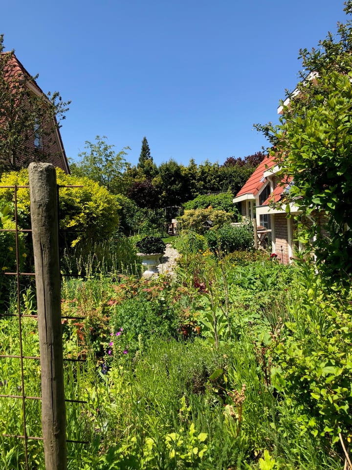 Foto 57 van Overburen 2