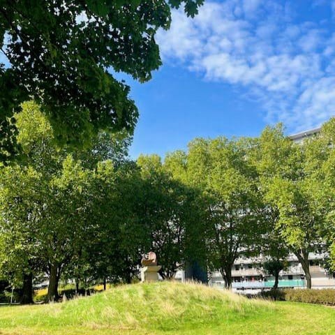 Photo 16 of Henri Dunantstraat 113