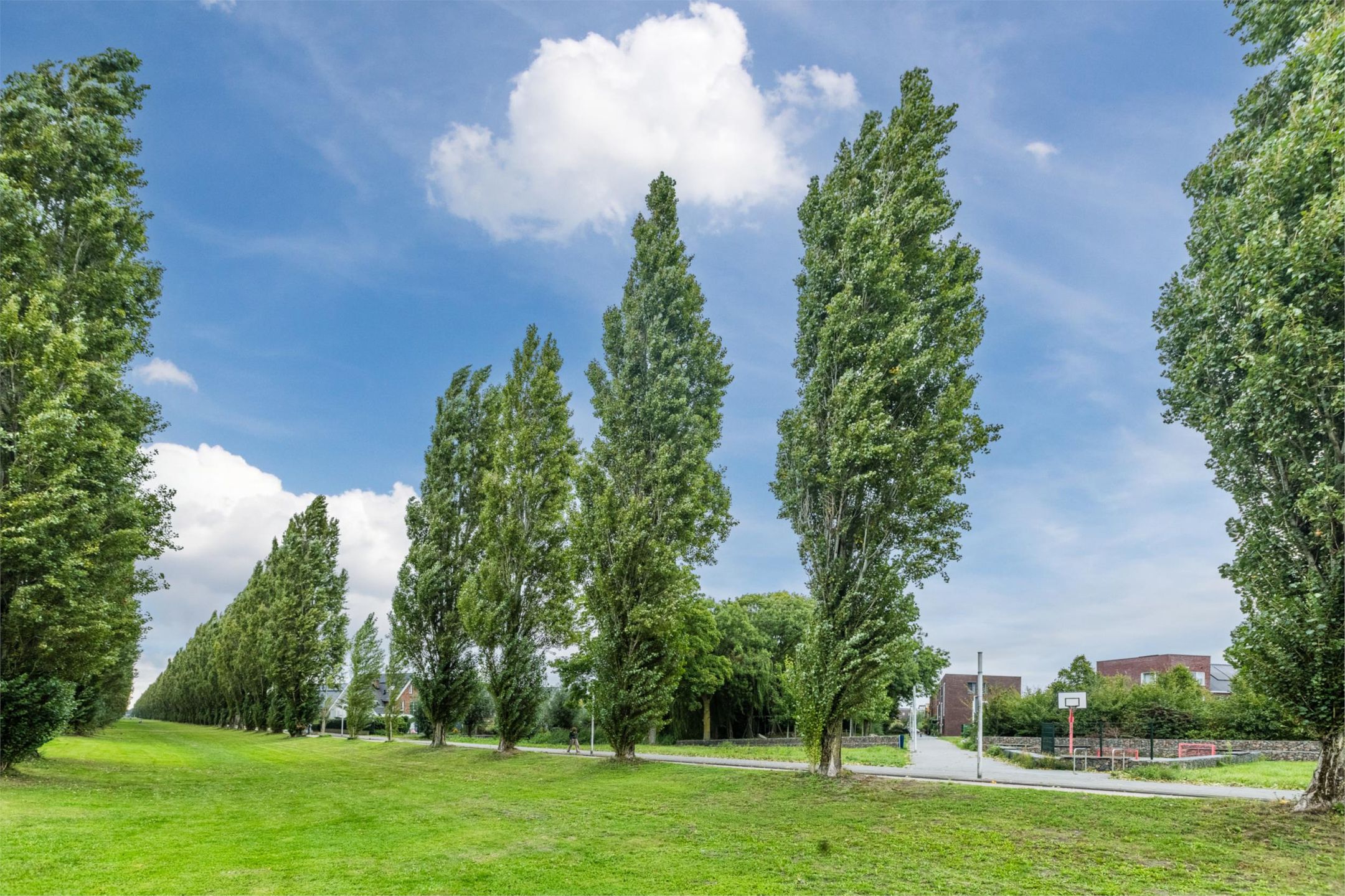 Foto 45 van Gemberweg 16