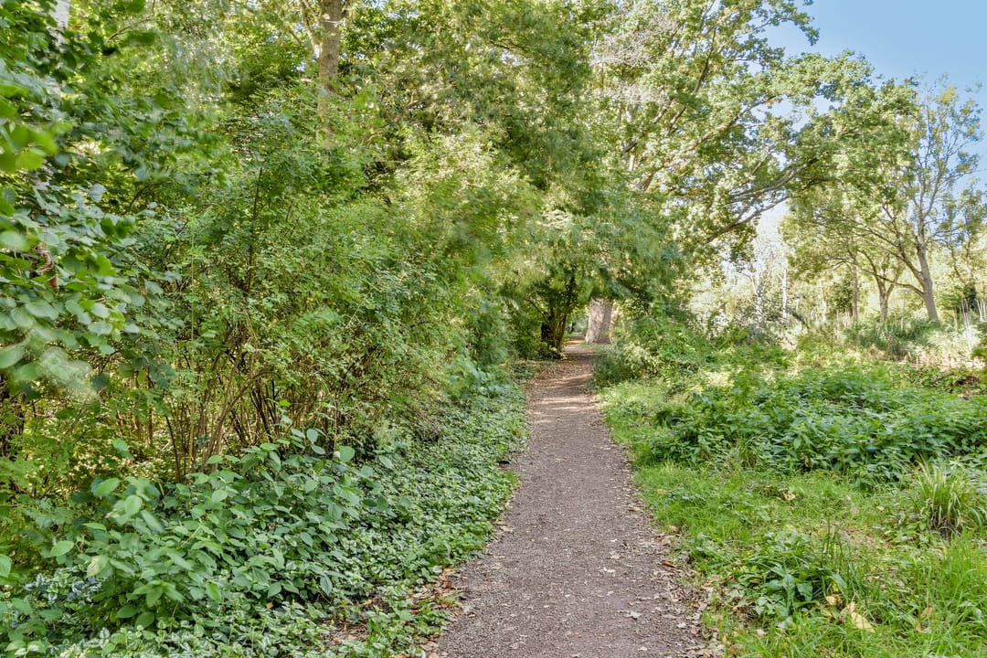 Photo 31 of Eikenrodelaan 76-BV