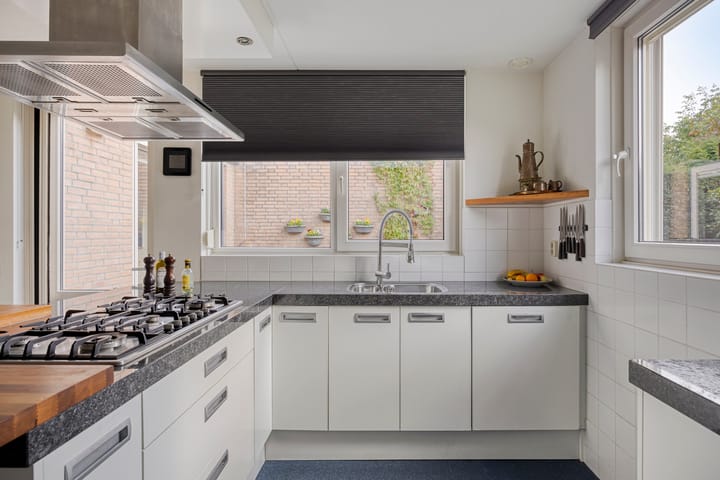 Photo 18 of Sprookjesbosch 91