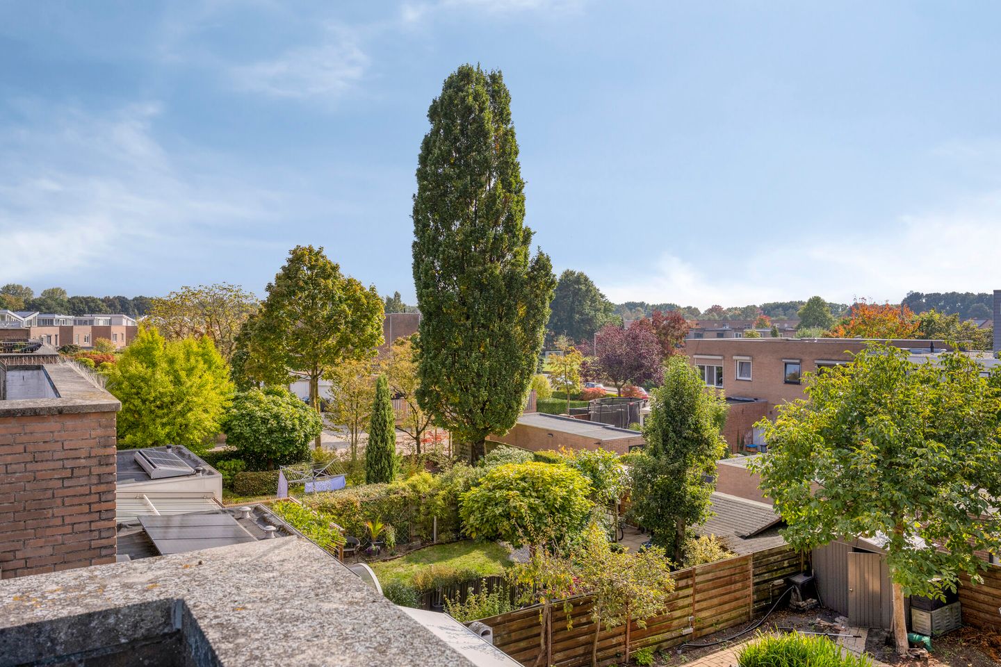 Foto 44 van Sprookjesbosch 91