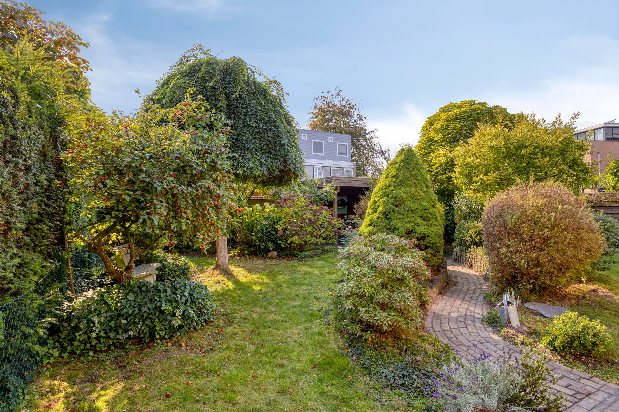 Foto 45 van Sprookjesbosch 91