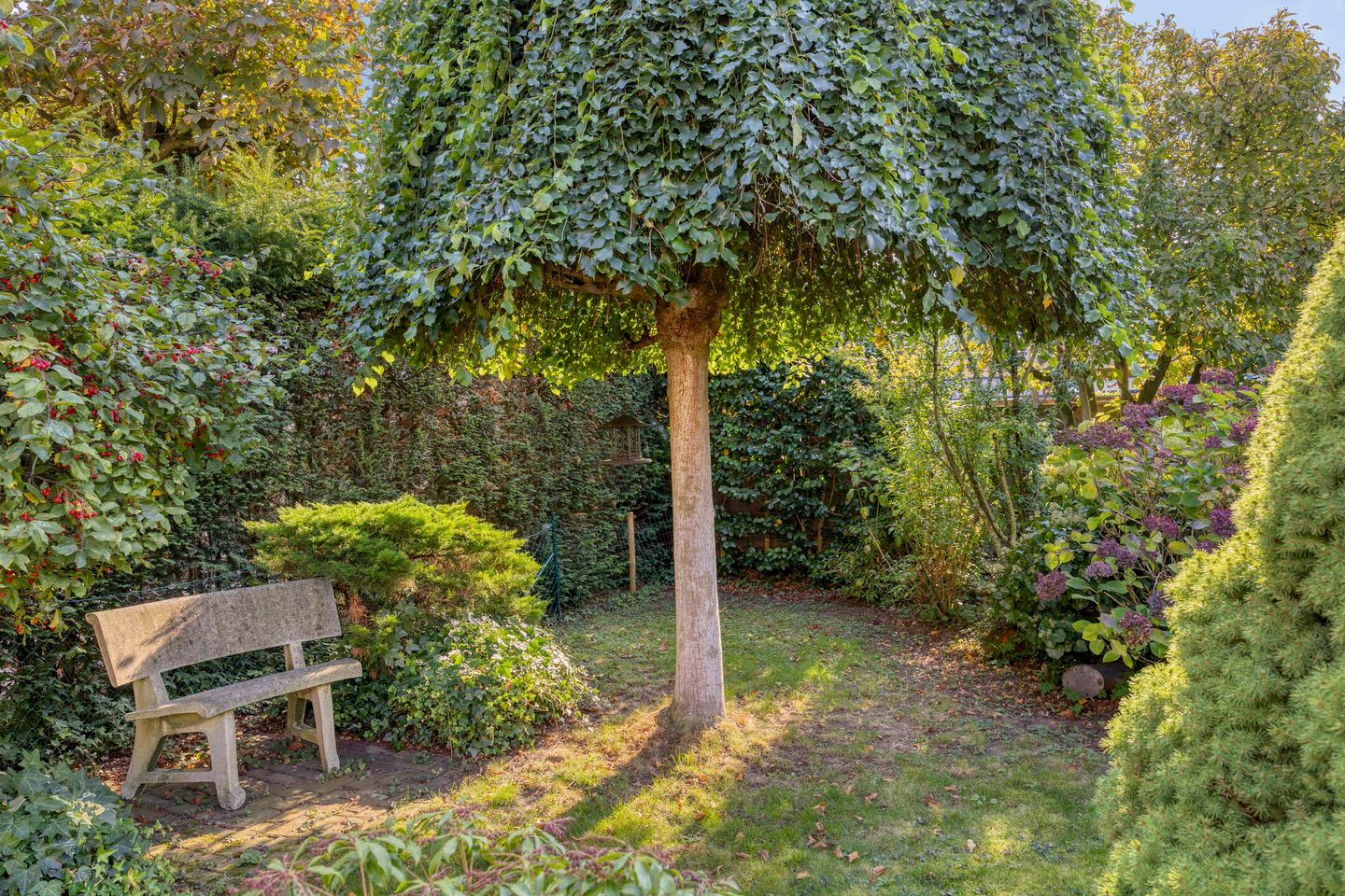 Foto 49 van Sprookjesbosch 91