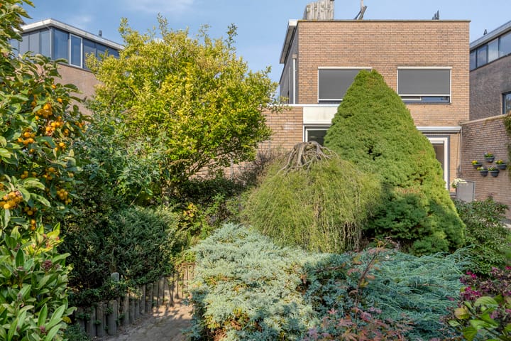 Photo 52 of Sprookjesbosch 91