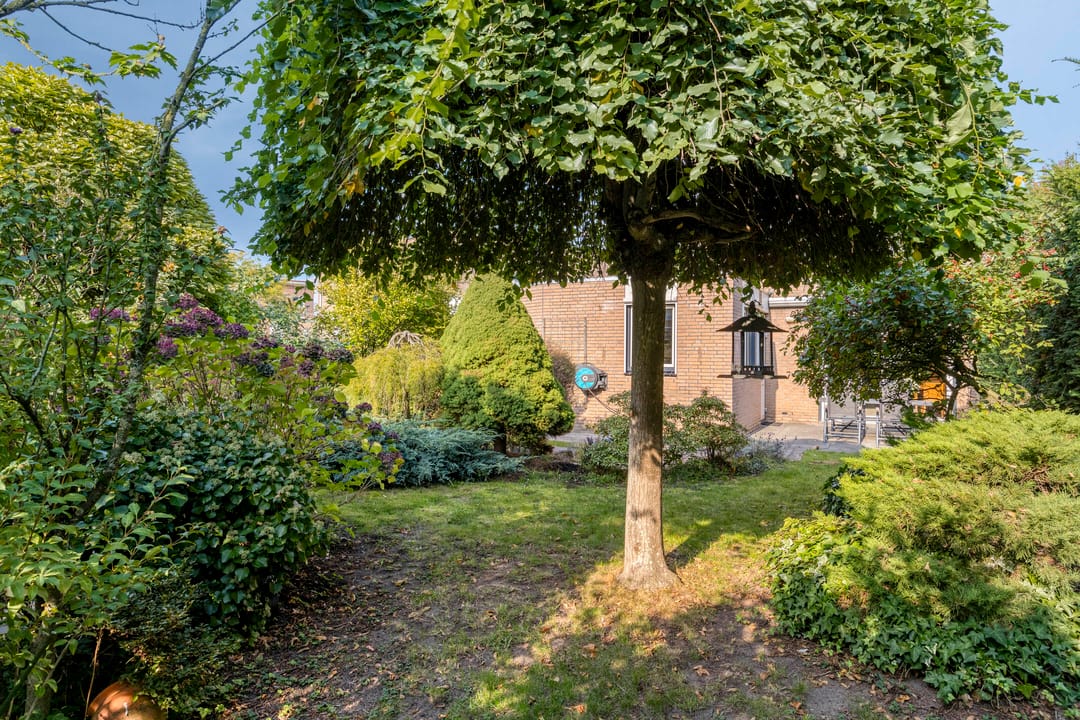 Foto 53 van Sprookjesbosch 91