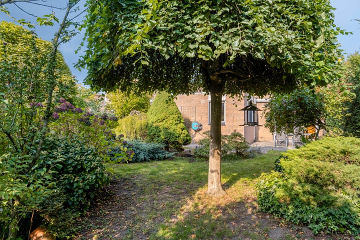 Photo 53 of Sprookjesbosch 91