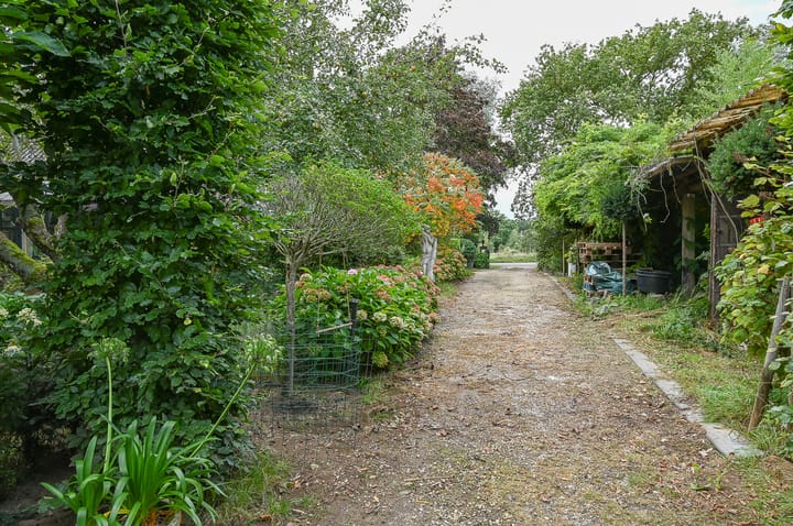 Photo 8 of Horstweg 7