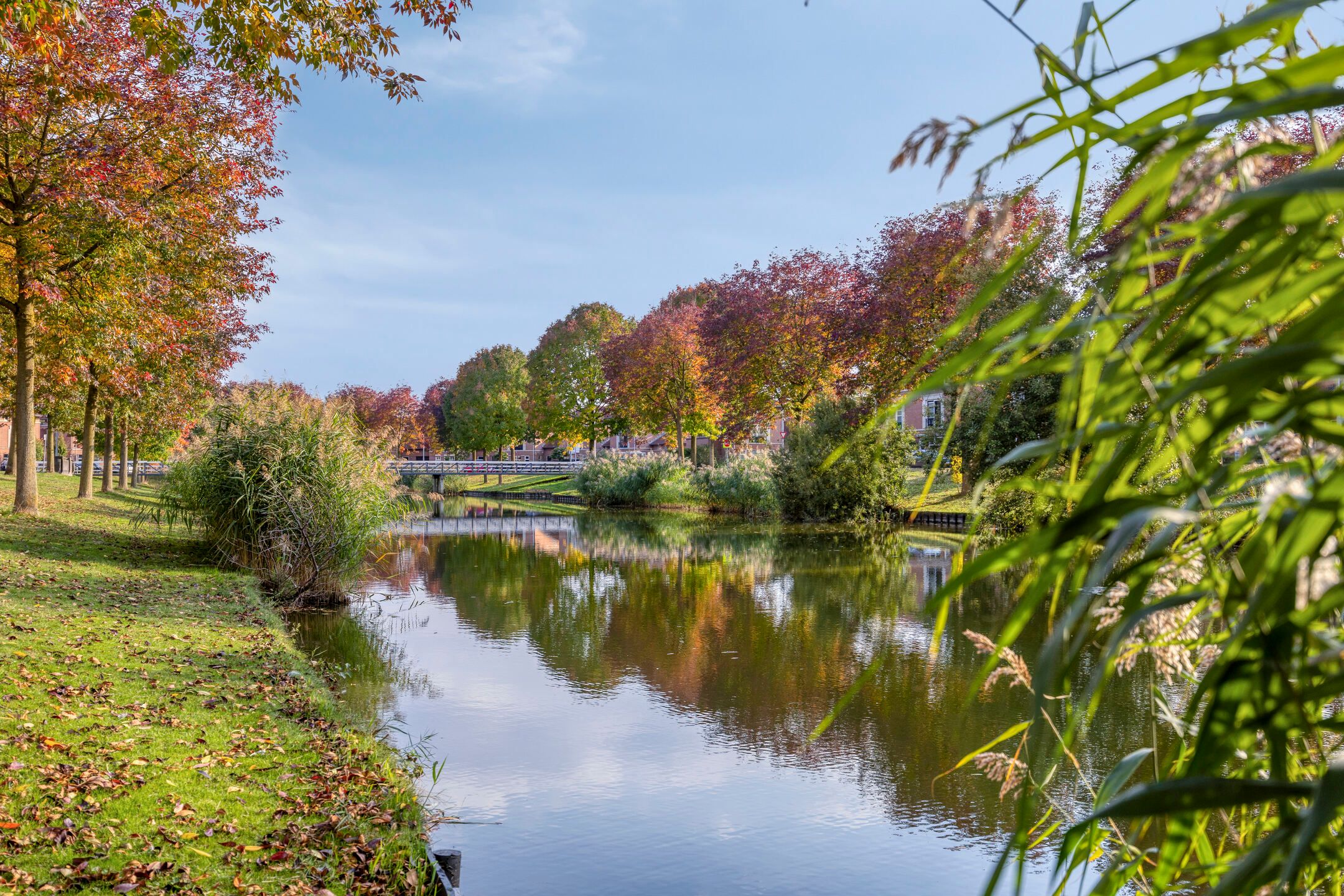 Foto 57 van Sprookjesbosch 91