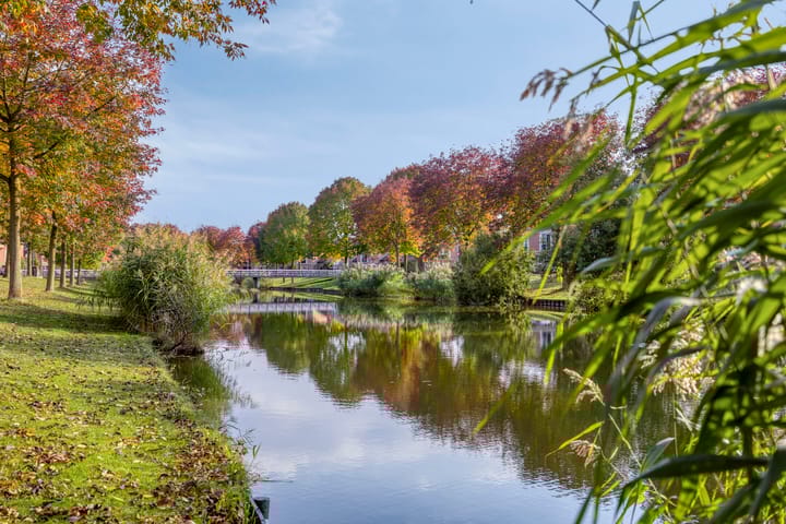 Photo 57 of Sprookjesbosch 91