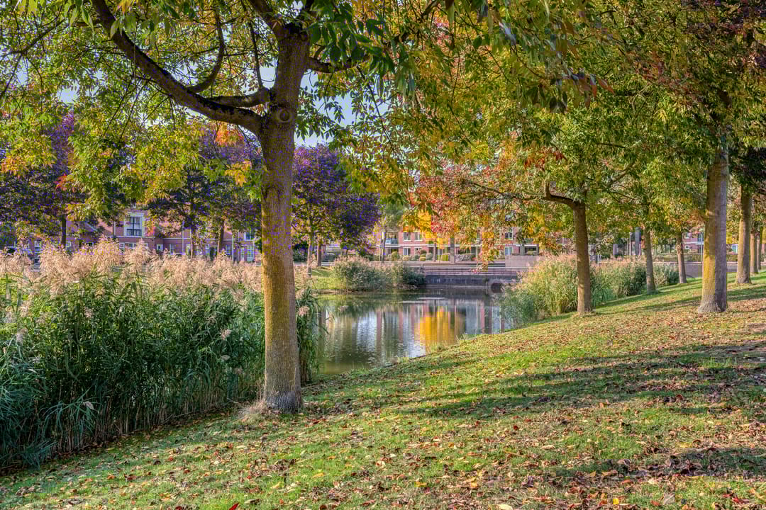 Foto 58 van Sprookjesbosch 91