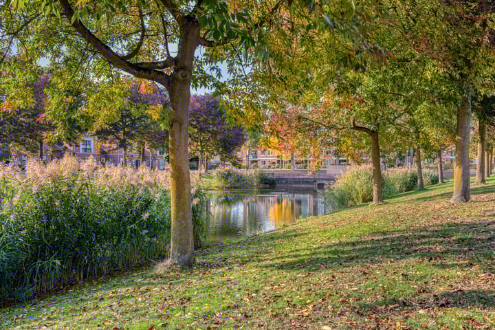 Photo 58 of Sprookjesbosch 91