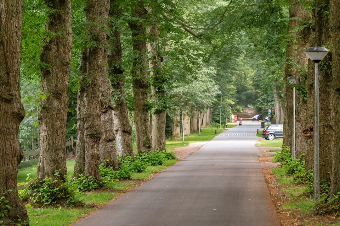 Photo 37 of Museumlaan 7