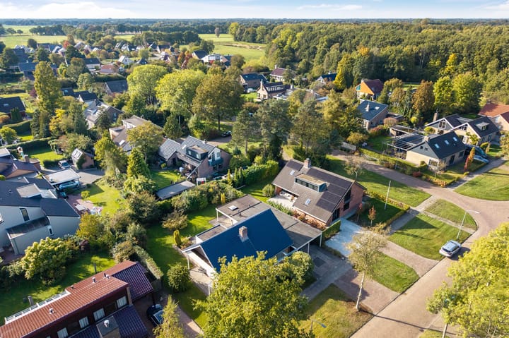 Foto 2 van Camphuysen 4