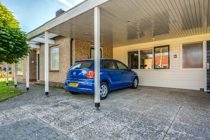 Foto 6 van Camphuysen 4