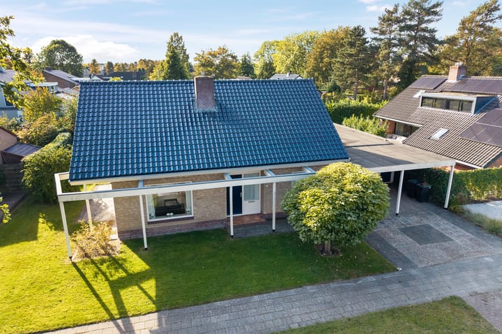 Foto 46 van Camphuysen 4