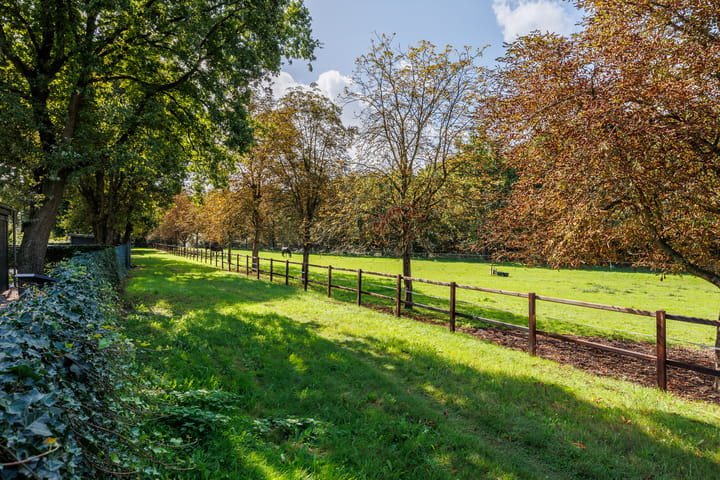 Photo 68 of Logterbos 5