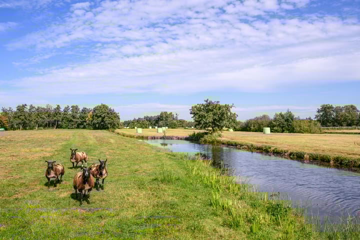 Photo 41 of Nieuw-Loosdrechtsedijk 198-A