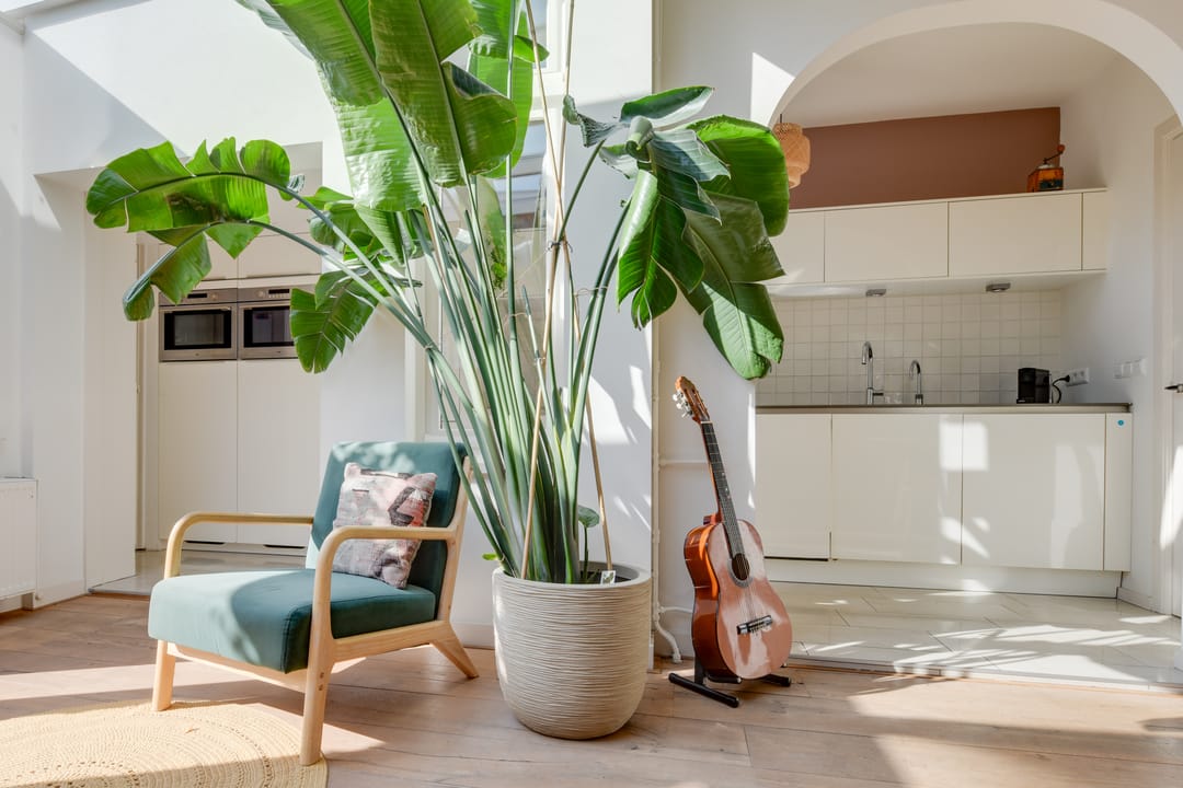 Foto 16 van Rozenstraat 19