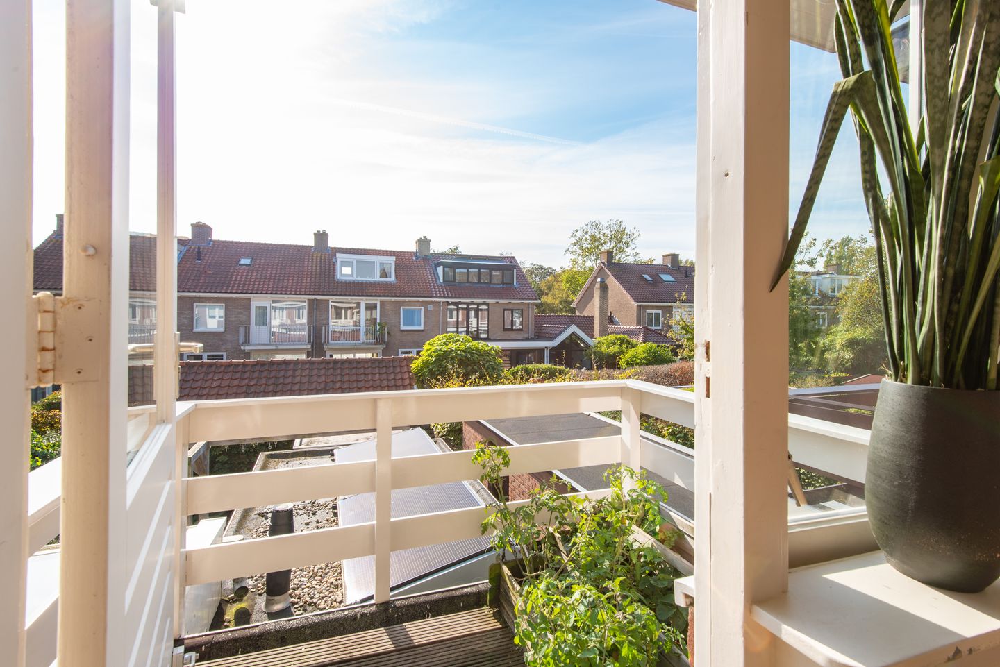 Foto 49 van Rozenstraat 19