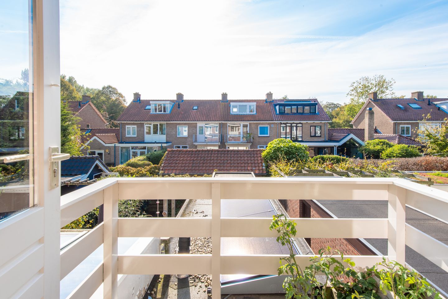 Foto 50 van Rozenstraat 19